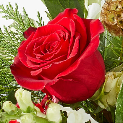 Deck the Halls Bouquet –  A Flower Matters, Dallas TX