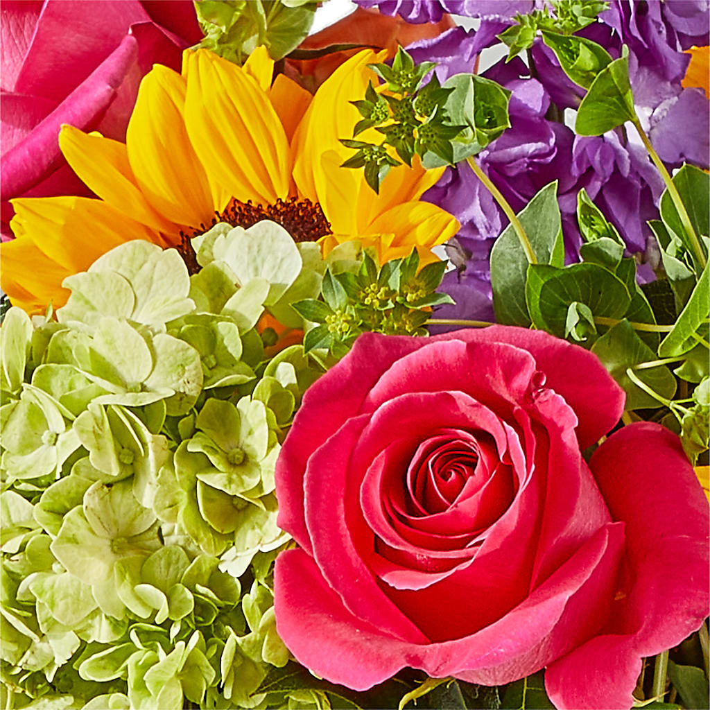 Vibrant Greetings Bouquet –  A Flower Matters, Dallas TX