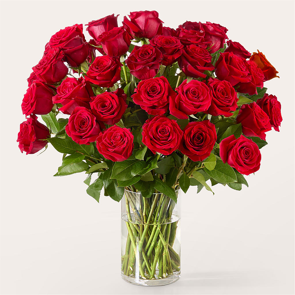 The One Red Rose Bouquet –  A Flower Matters, Dallas TX