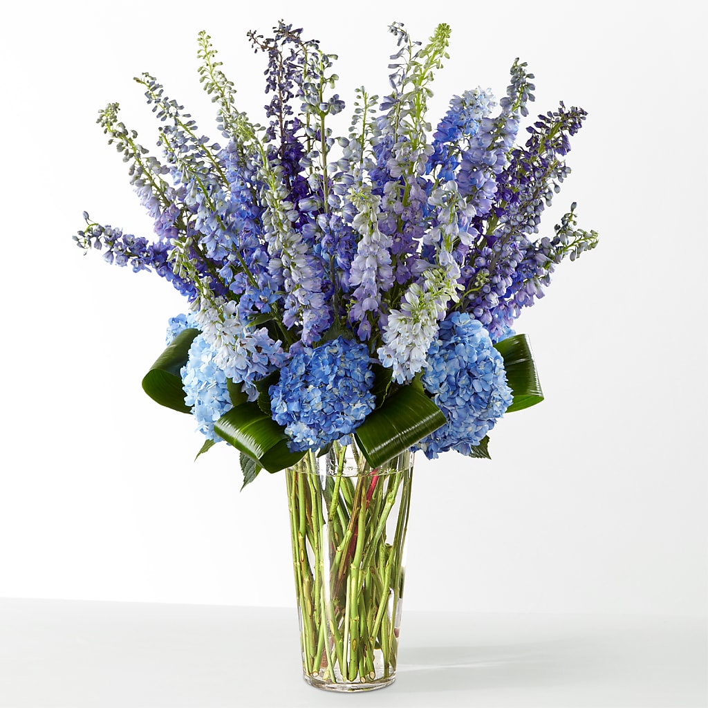 The Editorial –  A Flower Matters, Dallas TX