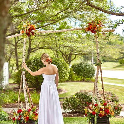 Arbor of Love Archway –  A Flower Matters, Dallas TX
