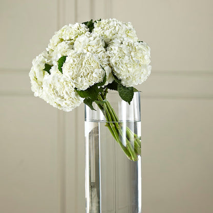 White Hydrangea Hand-Tied Bouquet –  A Flower Matters, Dallas TX
