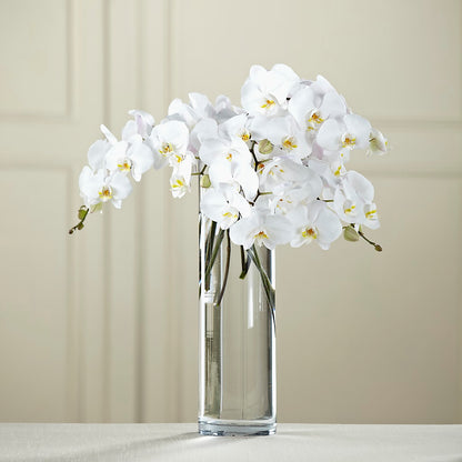 White Phalaenopsis Bouquet –  A Flower Matters, Dallas TX